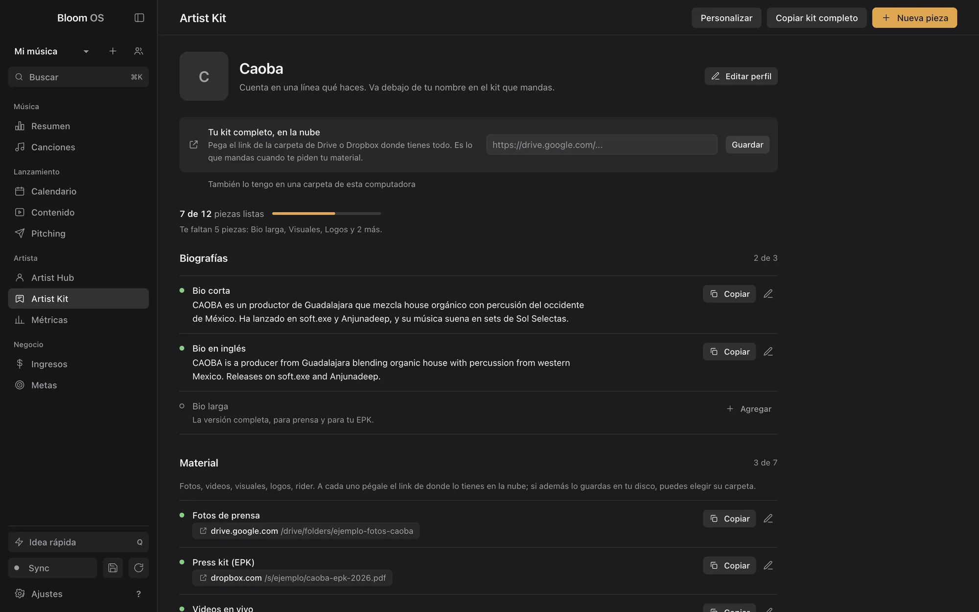 Artist Kit: perfil, link del kit completo en la nube, biografías y material de prensa con su link